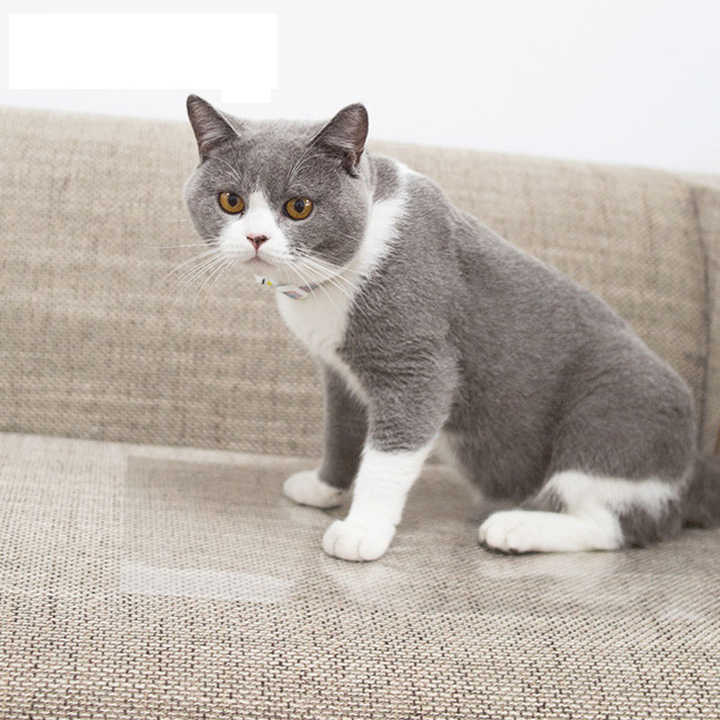 Transparent Cat Anti Scratch Training Sticky Strips Tape Cat Scratch Training TapeProduct Name Anti-cat Protection Scratch Protection Tapes For Pet Double Anti-scratch Tape Color Clear&Customiza Width 5~1260mm& Customiza Thickness 0.01mm~Cust