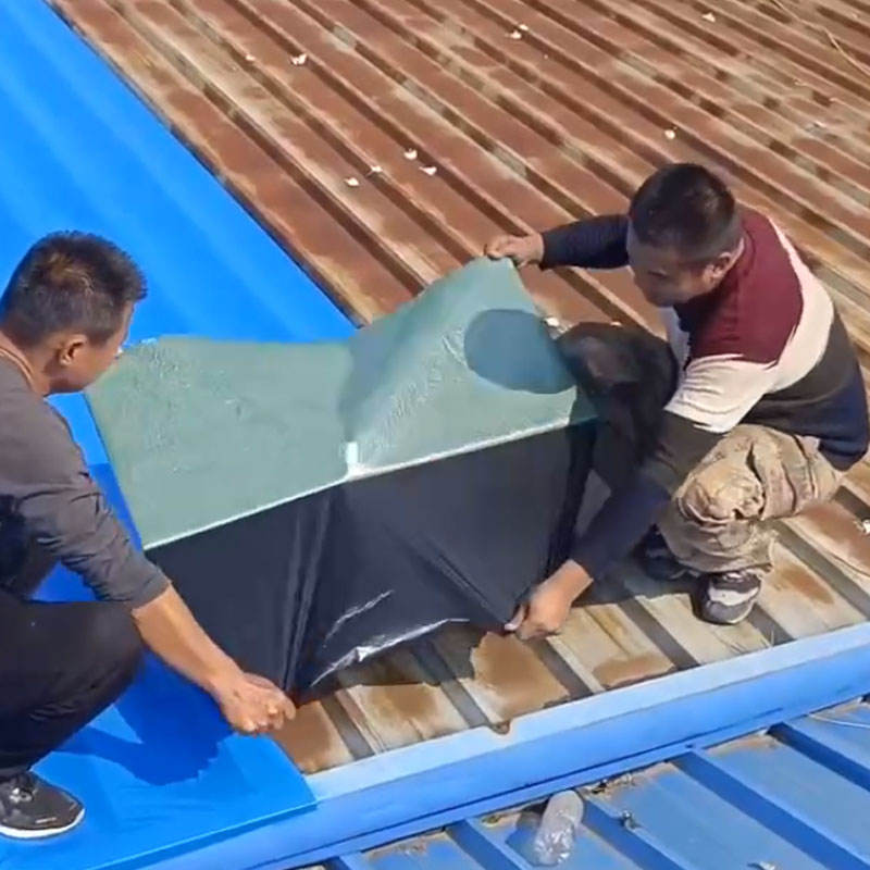 Corrugated Roof Waterproof Metal Surface Rust Proof Crack Repair