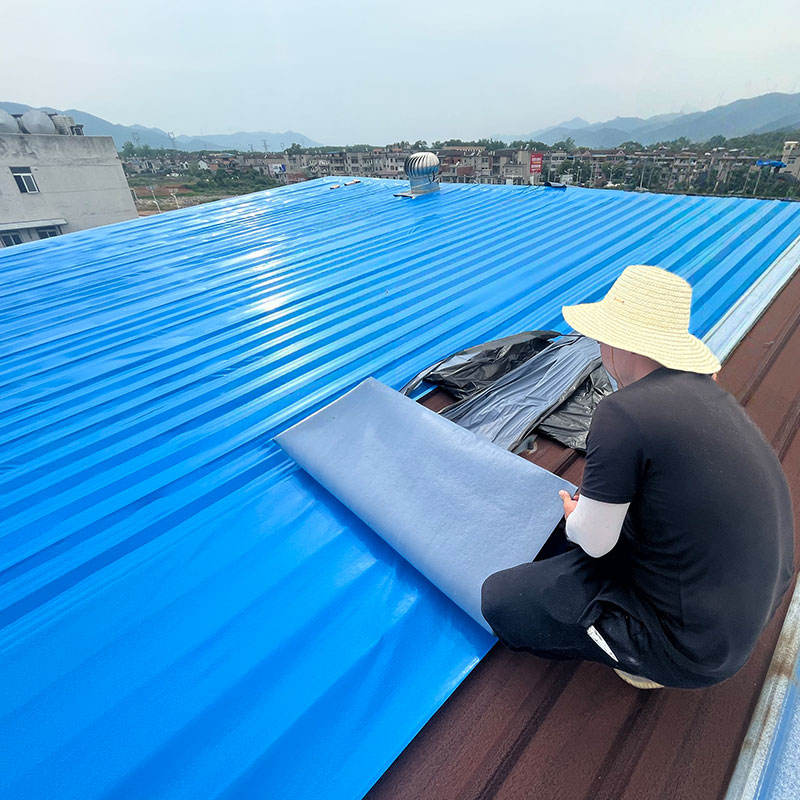 Roof PE Waterproof Membrane: Soundproof, Can Be Widely Pasted. Waterproof Tape Suitable for Metal Container Roofs